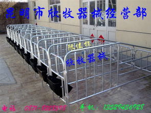 母豬產(chǎn)床,限位欄規(guī)格型號及價格 母豬產(chǎn)床 限位欄 保育欄 飲水器